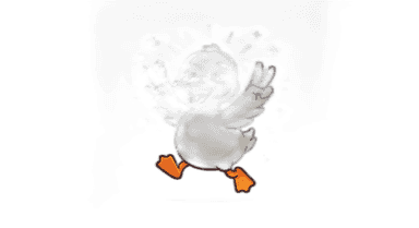 Event Venues Directory duck mascot